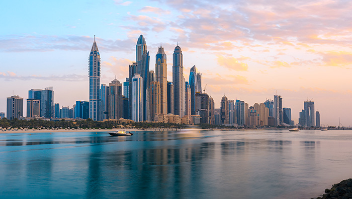 UAE Fleet